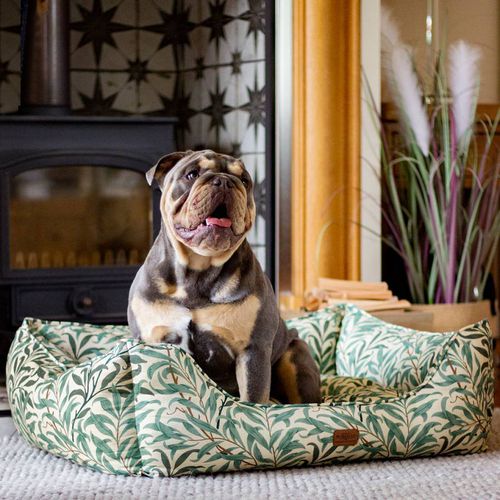 Willow Boughs Pet Box Bed Ivory/Green Size Medium 69cm x 52cm x 25cm - Morris & Co - Modalova