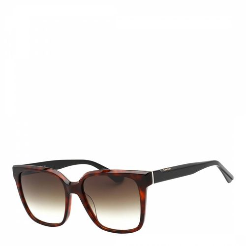 Women′s Havana Sunglasses 55mm - Calvin Klein - Modalova