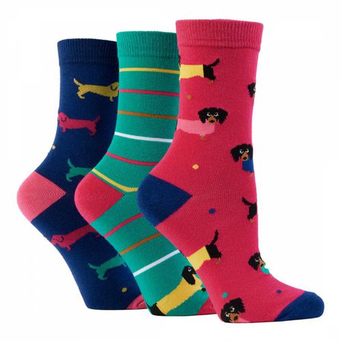 Multi 3 Pack Ladies Novelty Socks - Wild Feet - Modalova