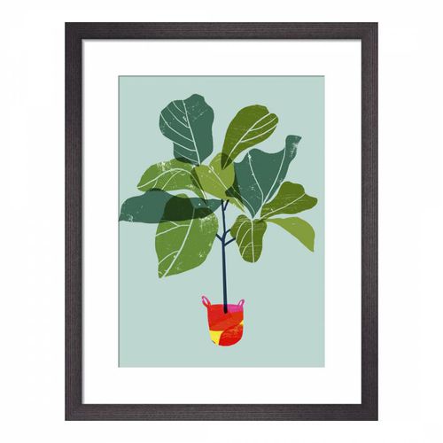 Fiddle Leaf Fig Tree 36x28cm Framed Print - Ana Zaja Petrak - Modalova