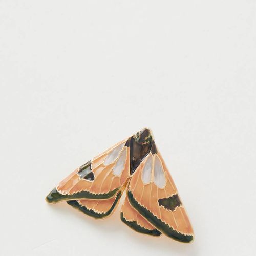 Enamel Moth Brooch - Fable - Modalova