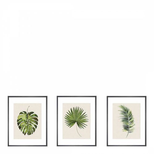 Tropical Leaves Set f 3 Print 50x40cm Framed Prints - Summer Thornton - Modalova