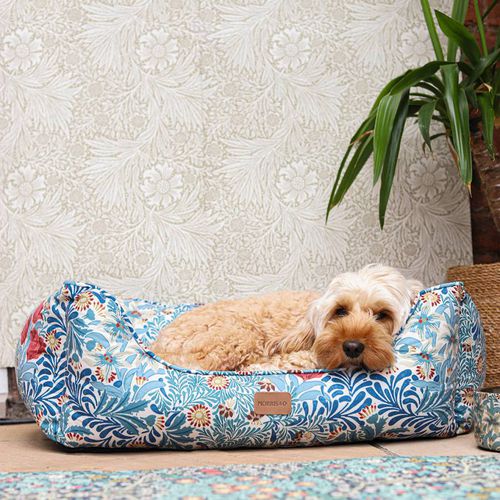 Bower Pet Box Bed Size Medium 69cm x 52cm x 25cm - Morris & Co - Modalova