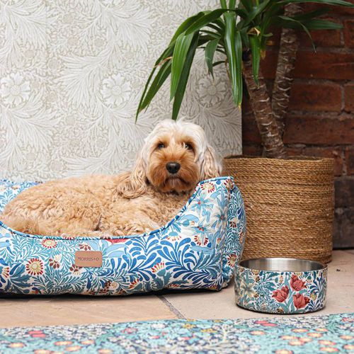 Bower Pet Box Bed Size Small 55cm x 42cm x 20cm - Morris & Co - Modalova