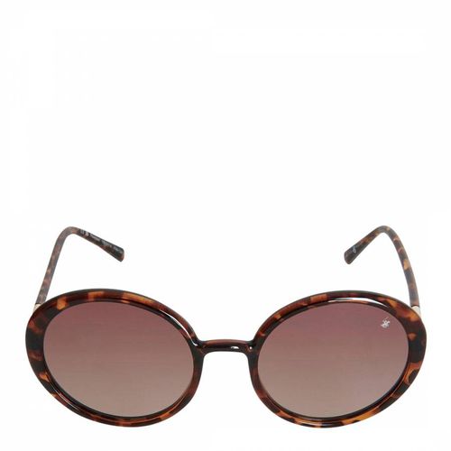 Tortoise Shell Rounded Cats Eye Polarised Sunglasses - Beverly Hills Polo Club - Modalova