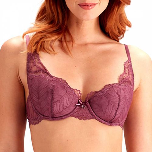 Purple Grape Laura High Apex Bra - Pretty Polly - Modalova