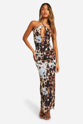 Womens Mesh Leopard Halter Maxi Dress - - 12 - boohoo - Modalova