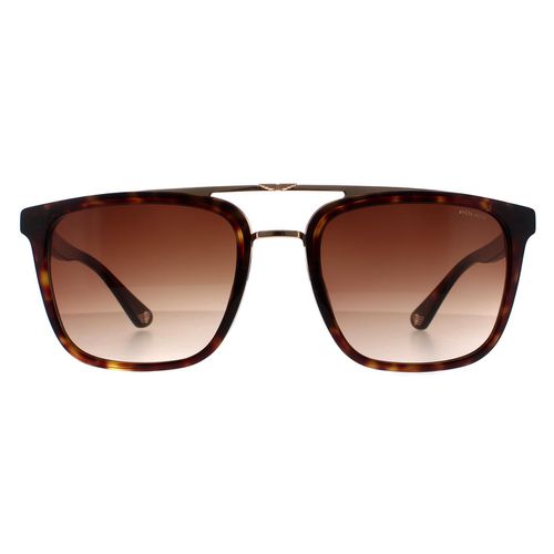 Square Havana and Gold Gradient SPLB41 Origins 35 Sunglasses - One Size - Police - Modalova