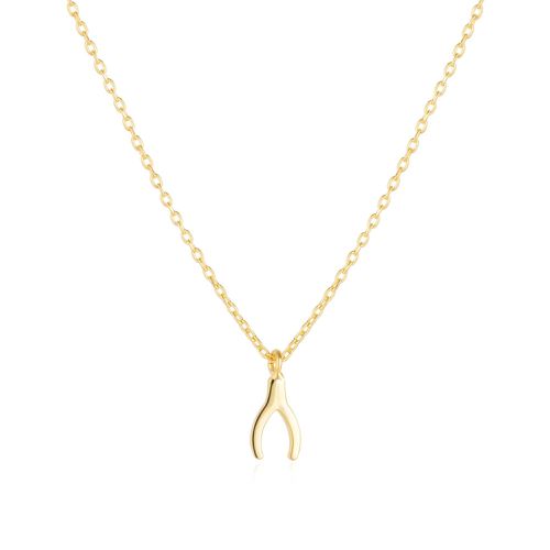 Womens Sterling Silver Mini Wishbone Necklace - - One Size - NastyGal UK (+IE) - Modalova