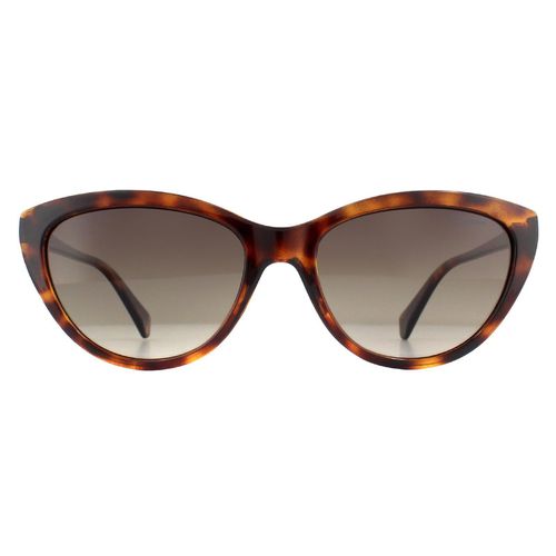 Womens Cat Eye Havana Gradient Polarized Sunglasses - One Size - Polaroid - Modalova
