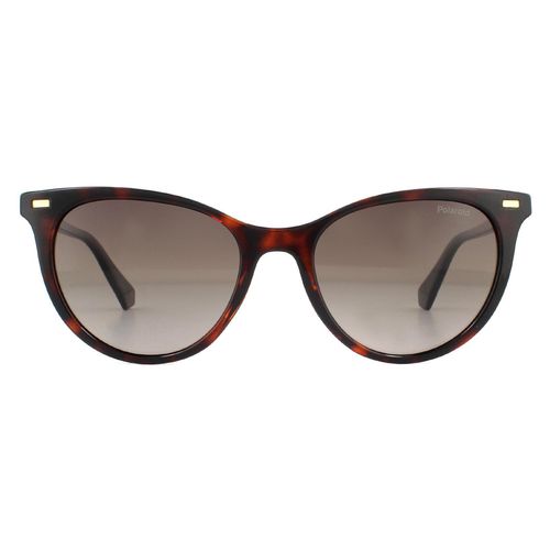 Womens Cat Eye Havana Gradient Polarized Sunglasses - One Size - Polaroid - Modalova