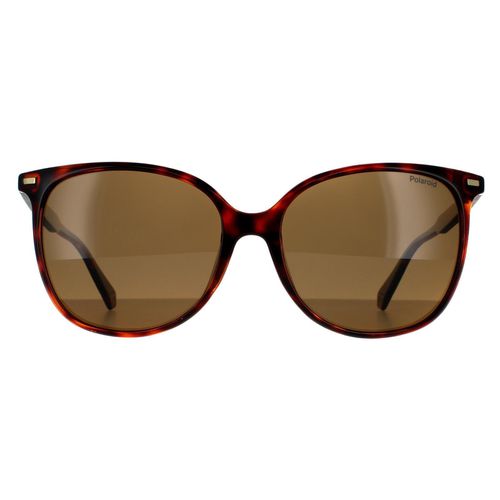 Womens Cat Eye Dark Havana Bronze Polarized Sunglasses - - One Size - Polaroid - Modalova