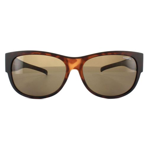 Suncovers Oval Dark Havana Polarized Sunglasses - One Size - Polaroid - Modalova