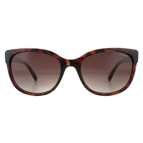 Womens Cat Eye Dark Havana Glitter Gradient Polarized Sunglasses - One Size - Polaroid - Modalova
