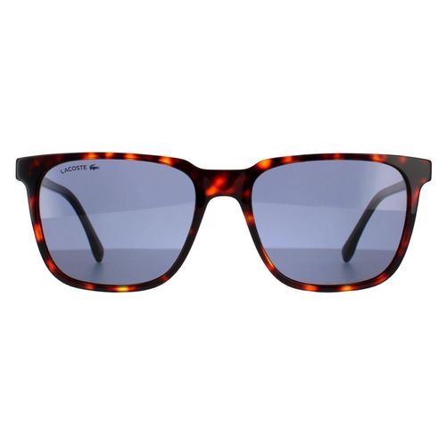 Square Havana Red Solid Blue Sunglasses - - One Size - NastyGal UK (+IE) - Modalova