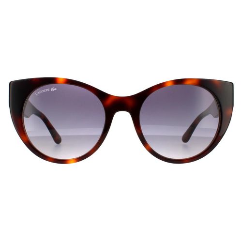 Womens Cat Eye Havana Blue Gradient Sunglasses - - One Size - Lacoste - Modalova