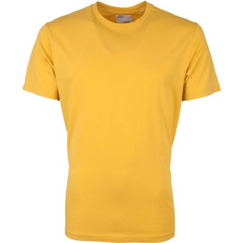 T-shirt Colorful T-shirt Standard - Colorful Standard - Modalova