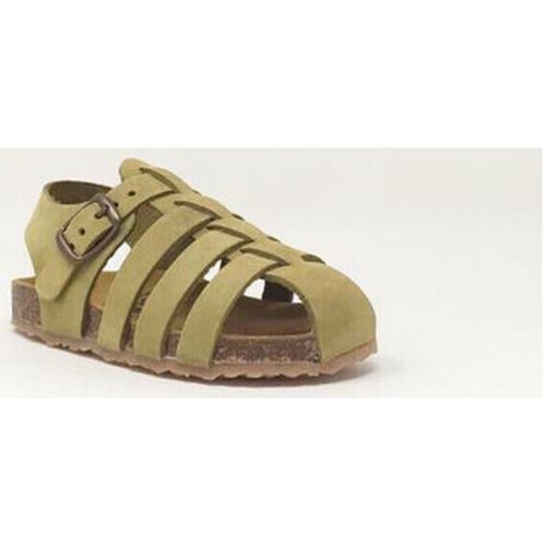 Baskets SANDALE PANZA NUBUCK KAKI - Plakton - Modalova