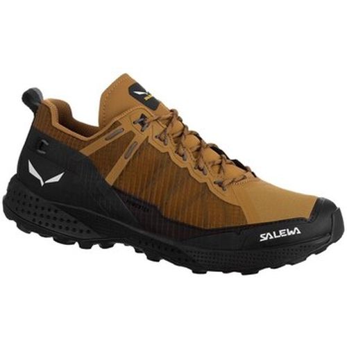Chaussures Salewa Pedroc Ptx - Salewa - Modalova