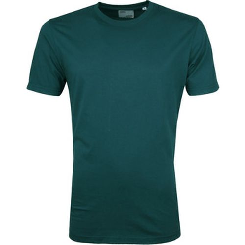 T-shirt T-shirt Ocean - Colorful Standard - Modalova