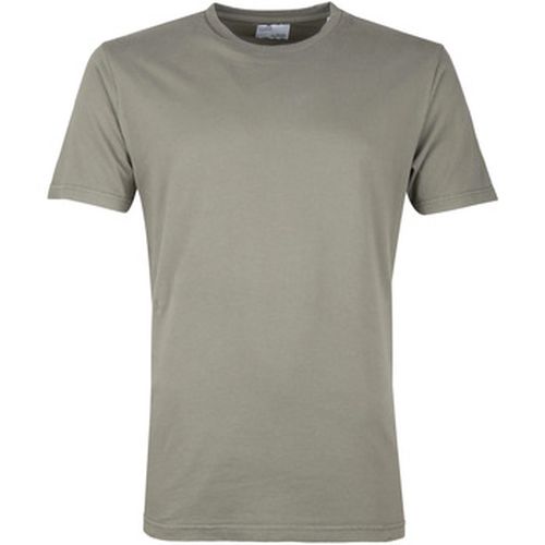 T-shirt T-shirt bio Olive - Colorful Standard - Modalova