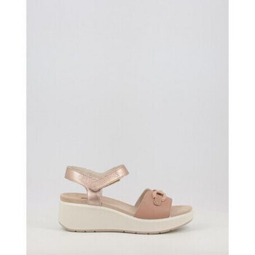 Sandales Imac CATERINA 758460 - Imac - Modalova