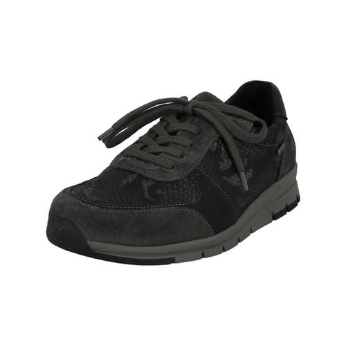 Sneakers Westland TABEA 08 - Westland - Modalova