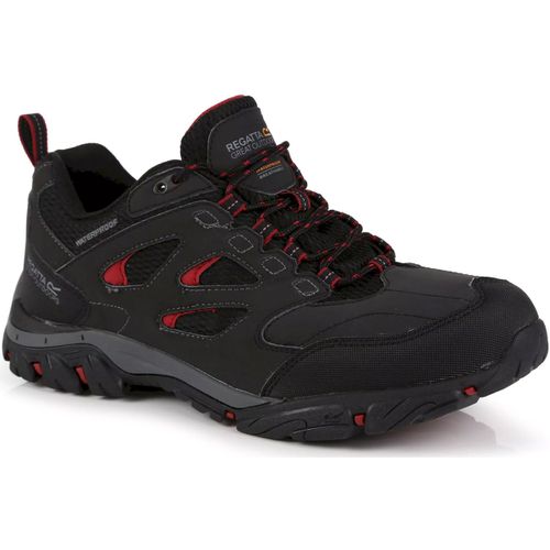 Scarpe da trekking Holcombe - Regatta - Modalova