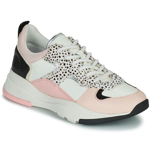 Sneakers basse Ted Baker IZSLA - Ted baker - Modalova