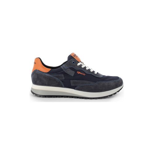 Sneakers IgI&CO 5127422 - IgI&CO - Modalova