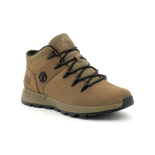 Sneakers Timberland - Timberland - Modalova