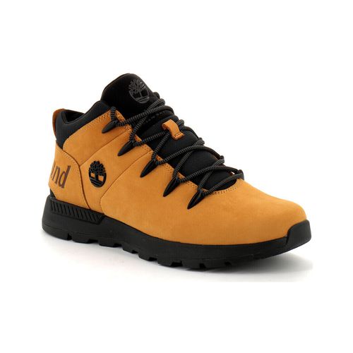 Sneakers Timberland - Timberland - Modalova