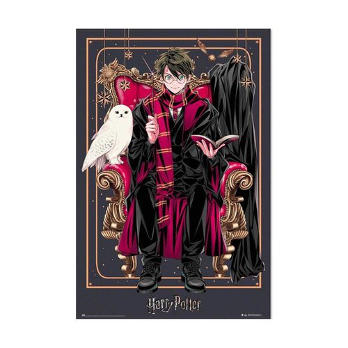 Poster Harry Potter TA9770 - Harry Potter - Modalova