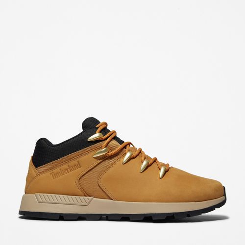 Sneakers alte SPRINT TREKKER MiLD - Timberland - Modalova