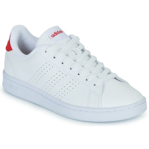 Sneakers adidas ADVANTAGE - Adidas - Modalova