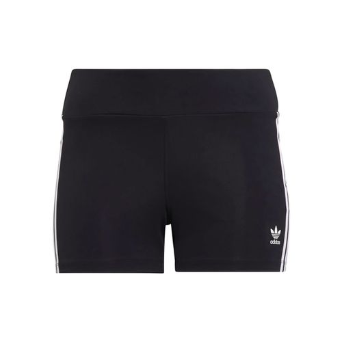 Shorts adidas Booty Large Sizes - Adidas - Modalova