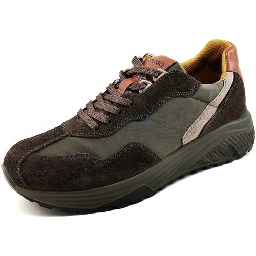 Sneakers Sneakers Uomo 2638122 - IgI&CO - Modalova