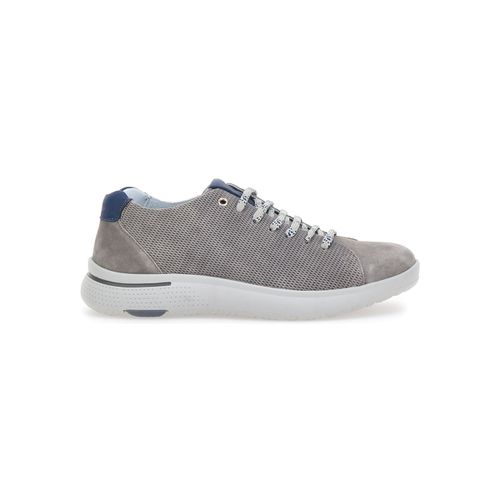 Sneakers Pittarello 9010 - Pittarello - Modalova