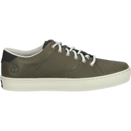 Sneakers Timberland Sneakers - Timberland - Modalova