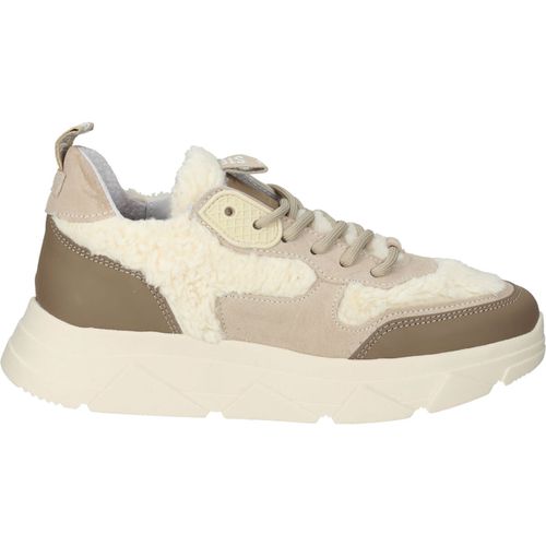 Sneakers basse Sneakers - Steve Madden - Modalova