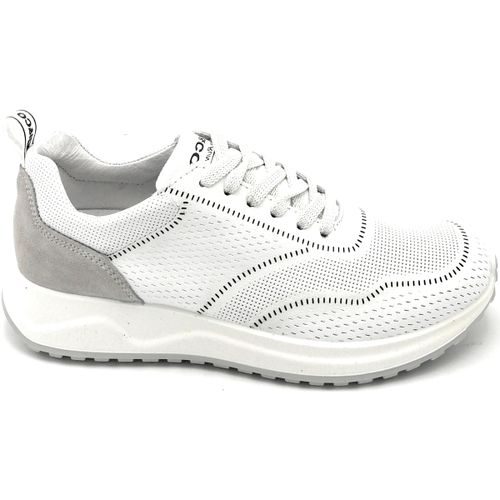 Sneakers IgI&CO 3629000 - IgI&CO - Modalova