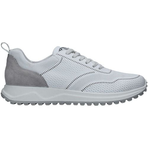 Sneakers IgI&CO 3629000 - IgI&CO - Modalova