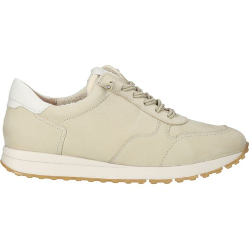 Sneakers basse Paul Green Sneakers - Paul green - Modalova