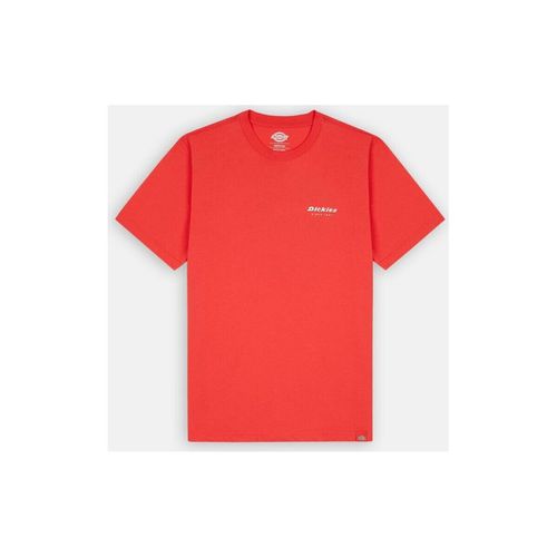 T-shirt & Polo LEESBURG TEE SS - Dickies - Modalova