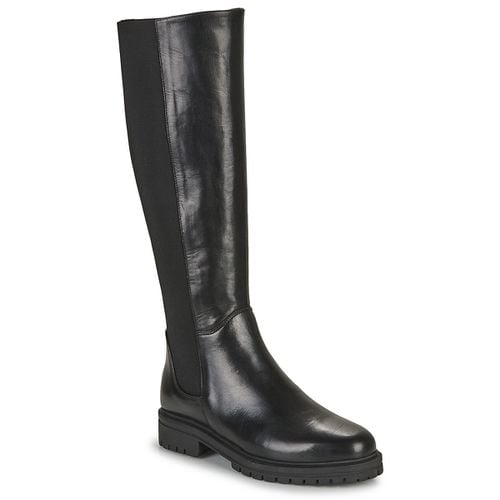 Stivaletti Myma 7117-CUIR-NOIR - Myma - Modalova