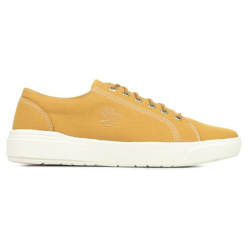 Sneakers Seneca Bay Canvas Ox - Timberland - Modalova