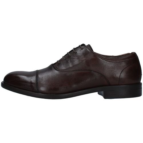 Scarpe Paul Kelly 1236 - Paul Kelly - Modalova