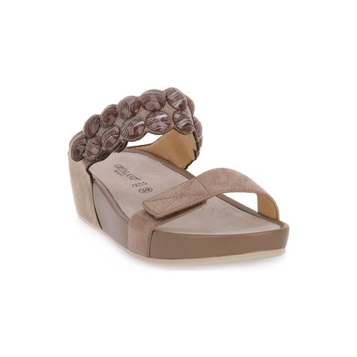 Scarpe Grunland TAUPE C9DIRA - Grunland - Modalova