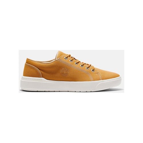 Sneakers Seneca bay canvas ox - Timberland - Modalova