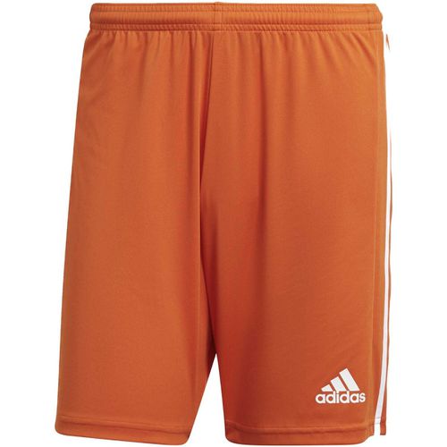 Pantaloni corti Squad 21 Arancione - Adidas - Modalova